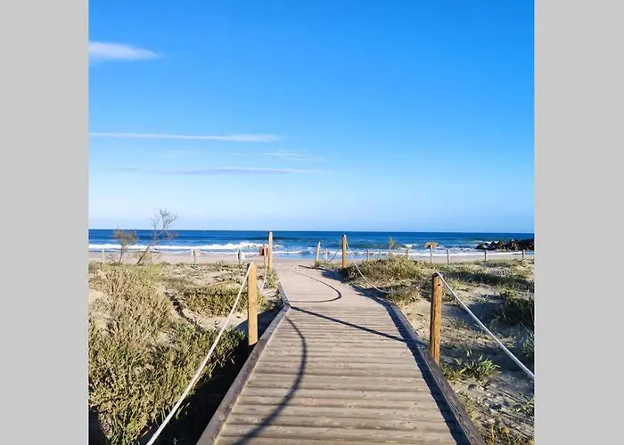 Bianca * 维拉西米乌斯